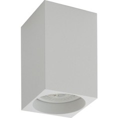 Потолочный светильник Denkirs DK2009-WH