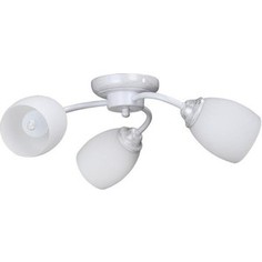 Потолочная люстра Vitaluce V3597/3PL