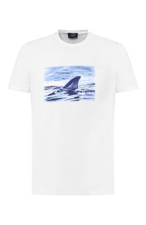 Хлопковая футболка Paul&Shark