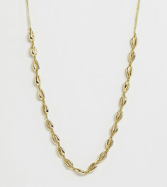 Позолоченное ожерелье-чокер с подвеской в форме раковины Orelia - Золотой