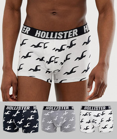 Комплект из 3 боксеров-брифов с логотипом на поясе Hollister - Мульти