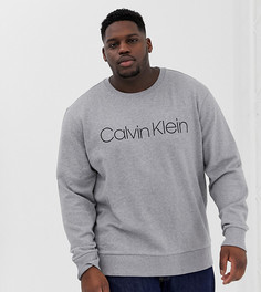 Серый свитшот с большим логотипом Calvin Klein - Серый