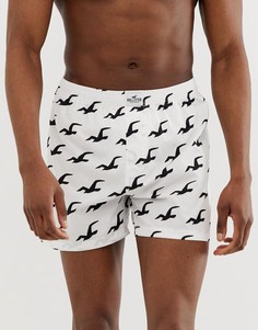Белые тканые боксеры с логотипом Hollister - Белый