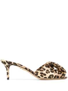 Обувь Charlotte Olympia