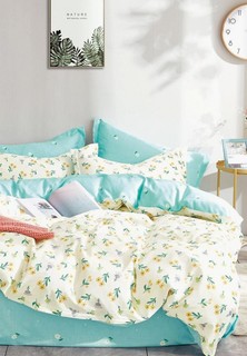 Постельное белье Евро Dream Time