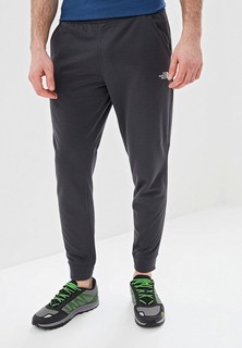 Брюки спортивные The North Face