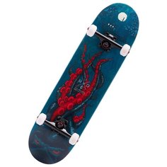 Скейтборд Ridex Blast 31.7