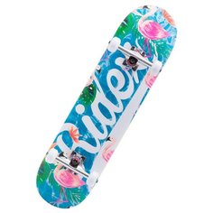 Скейтборд Ridex Oasis 31.6″