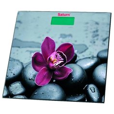 Весы Saturn ST-PS0238 Сатурн