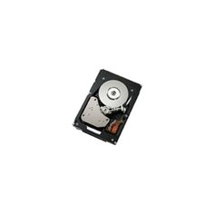Жесткий диск Lenovo 22R6341