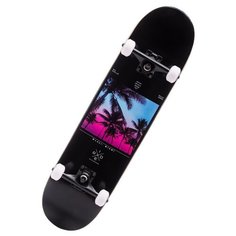 Скейтборд Ridex Miami 31.65″