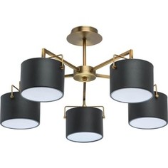 Потолочная люстра MW-Light 721010205