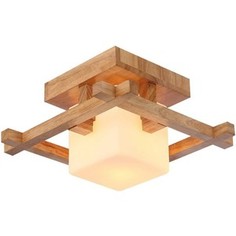 Потолочный светильник Artelamp A8252PL-1BR