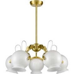 Подвесная люстра Vele Luce VL2084L05