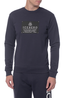 Толстовка Iceberg