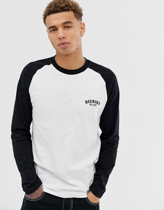 Лонгслив с черными рукавами реглан Dickies - Черный