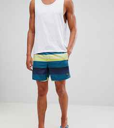 Шорты в полоску ONeill Santa Cruz - Синий O`Neill