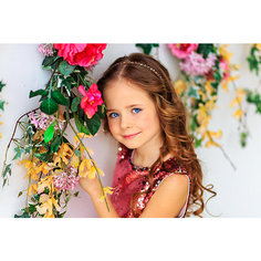 Ободок Aliciia