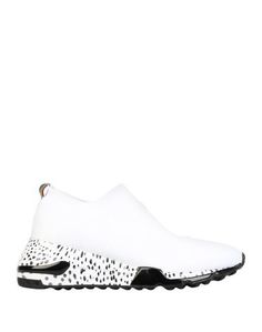 Низкие кеды и кроссовки Steve Madden
