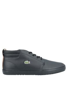 Высокие кеды и кроссовки Lacoste