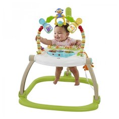Ходунки-прыгунки Fisher-Price