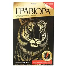 Гравюра Школа талантов Тигр