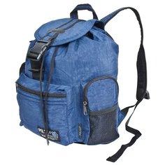 Рюкзак POLAR П813 14