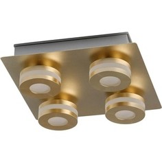 Потолочный светодиодный светильник DeMarkt 549010904