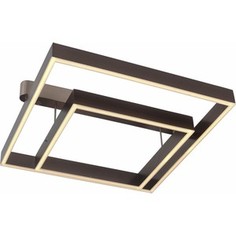 Потолочный светодиодный светильник ST-Luce SL945.402.02