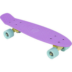 Скейтборд Leader Kids S-2206P (пастельно фиолетовый) GL000388967