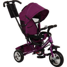 Велосипед 3-х колесный Capella ACTION TRIKE II,PURPLE (фиолетовый) GL000957368