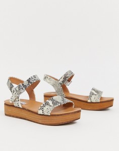 Кожаные сандалии-слипоны на платформе со змеиным узором Steve Madden - Мульти