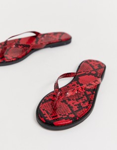 Красные шлепанцы со змеиным принтом ASOS DESIGN Fantom - Красный