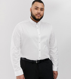 Белая рубашка классического кроя с воротником бабочка ASOS DESIGN Plus - Белый