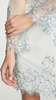 Loyd/Ford Corded Lace Dress