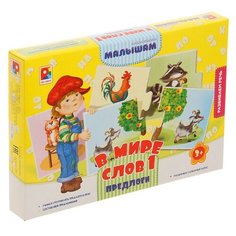 Настольная игра Радуга В мире