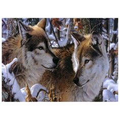 Color Kit Набор для вышивания