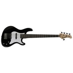 Бас-гитара Fernandes Guitars R5X