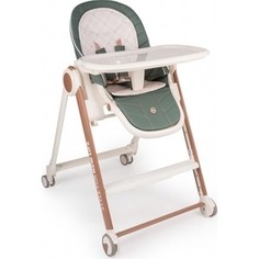 Стульчик для кормления Happy Baby BERNY V2 (dark green)