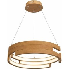 Подвесной светодиодный светильник ST-Luce SL963.703.01