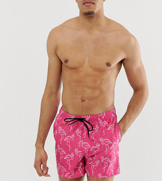 Короткие шорты для плавания с принтом фламинго ASOS DESIGN Tall - Розовый