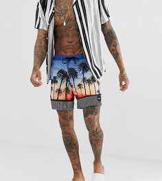 Синие пляжные шорты Quiksilver Sunvibes - Синий