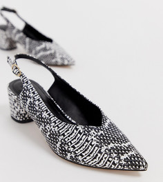 Остроносые туфли на блочном каблуке со змеиным принтом и ремешком через пятку Miss Selfridge - Черный