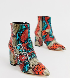 Ботинки с острым носом и змеиным принтом Miss Selfridge - Мульти