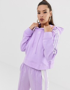 Фиолетовый короткий худи adidas Originals adicolor - Фиолетовый