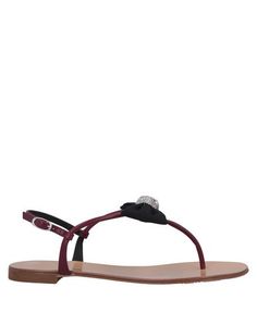 Вьетнамки Giuseppe Zanotti
