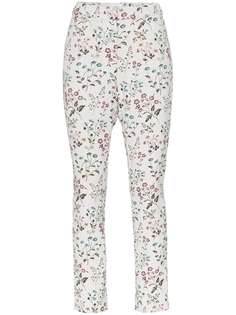 Одежда Erdem
