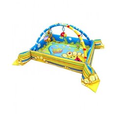 Развивающий коврик Barty Бассейн