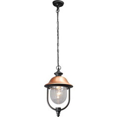 Уличный подвесной светильник MW-Light 805010401