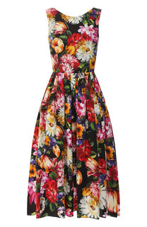 Хлопковое платье Dolce & Gabbana